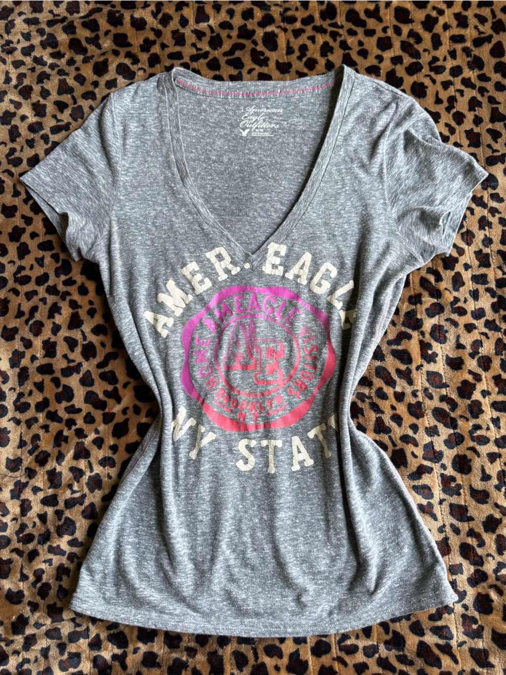 American Eagle Outfitters Gray V‑Neck Tee with Pink Graphic